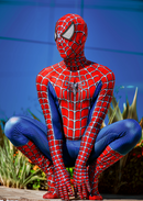 Fantasia Homem-Aranha Traje Clássico Tobey Maguire Adulto Cosplay Luxo