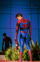 Fantasia Homem-Aranha Traje Clássico Tobey Maguire Adulto Cosplay Luxo
